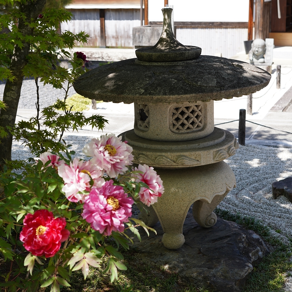 2023-04-20-Botan-014