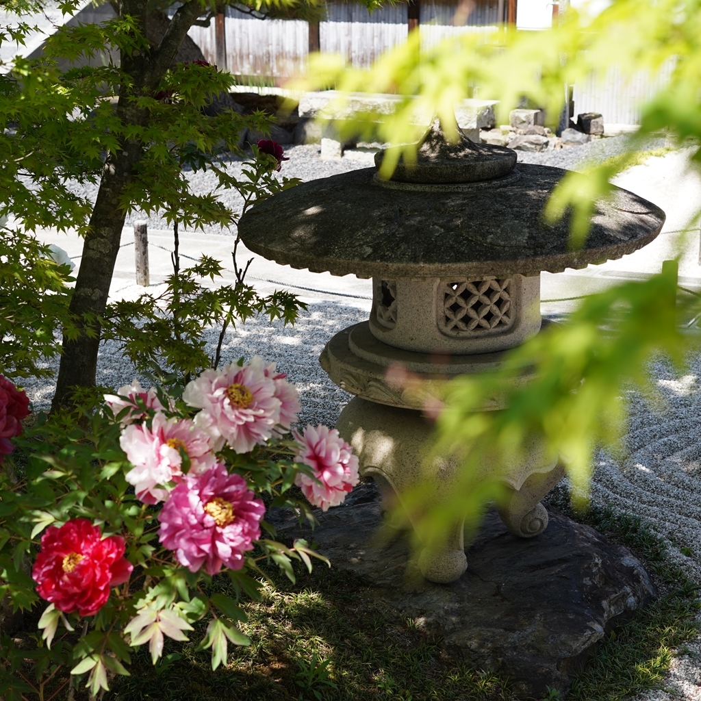 2023-04-20-Botan-015