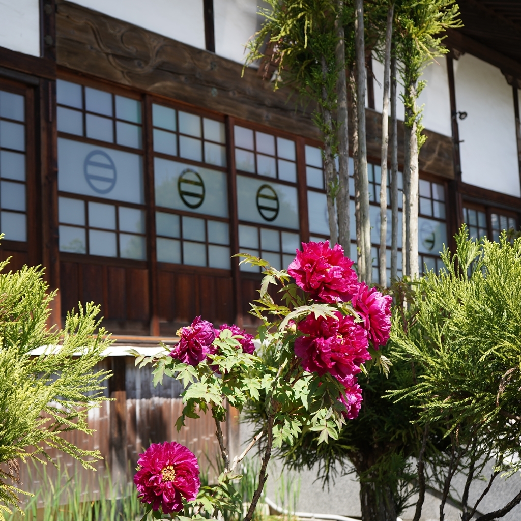 2023-04-20-Botan-028