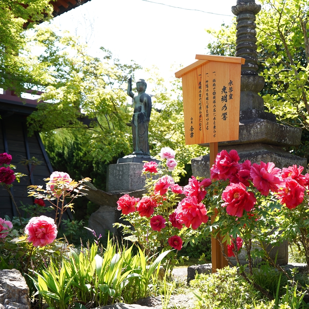 2023-04-20-Botan-029