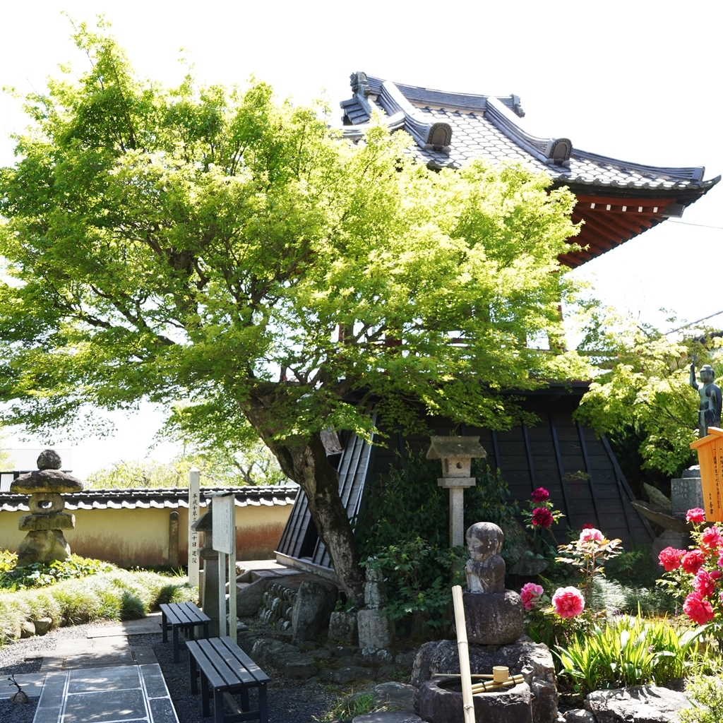 2023-04-20-Botan-030