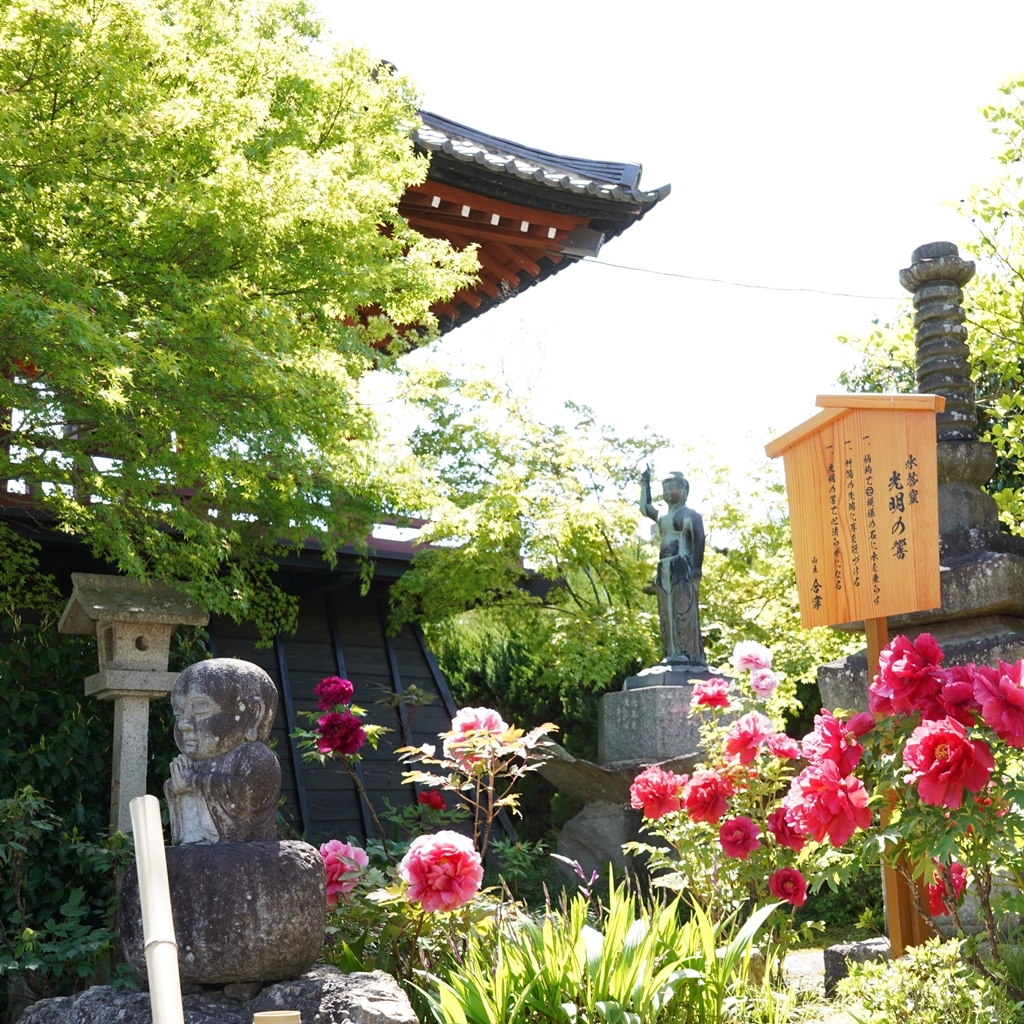 2023-04-20-Botan-031