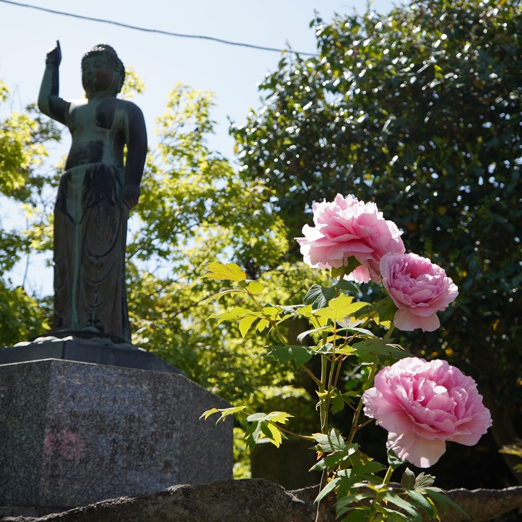 2023-04-20-Botan-037