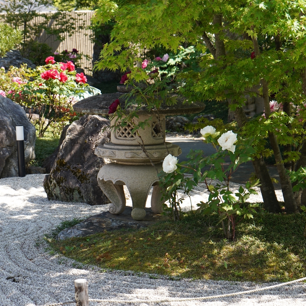 2023-04-20-Botan-040