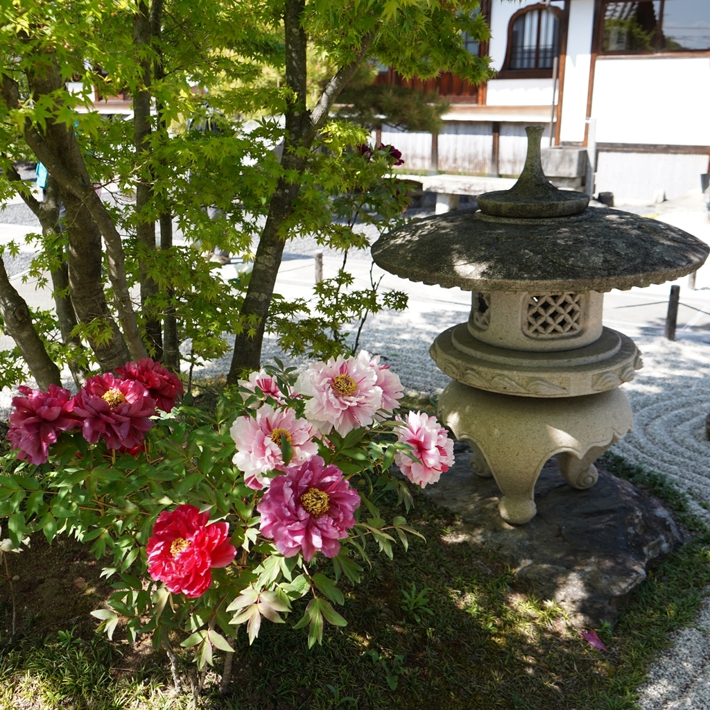 2023-04-20-Botan-042