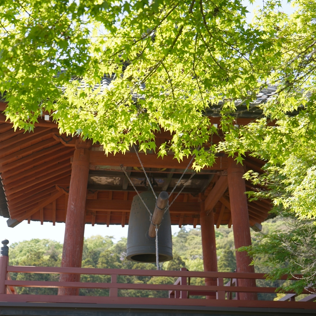 2023-04-20-Botan-047